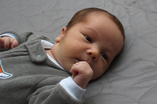 IMG_2223 24 days old.